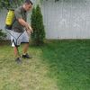New Yorkers With Dead Grass Pay To Paint Lawn Green